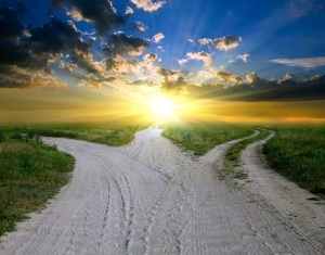 Choose the road less traveled.