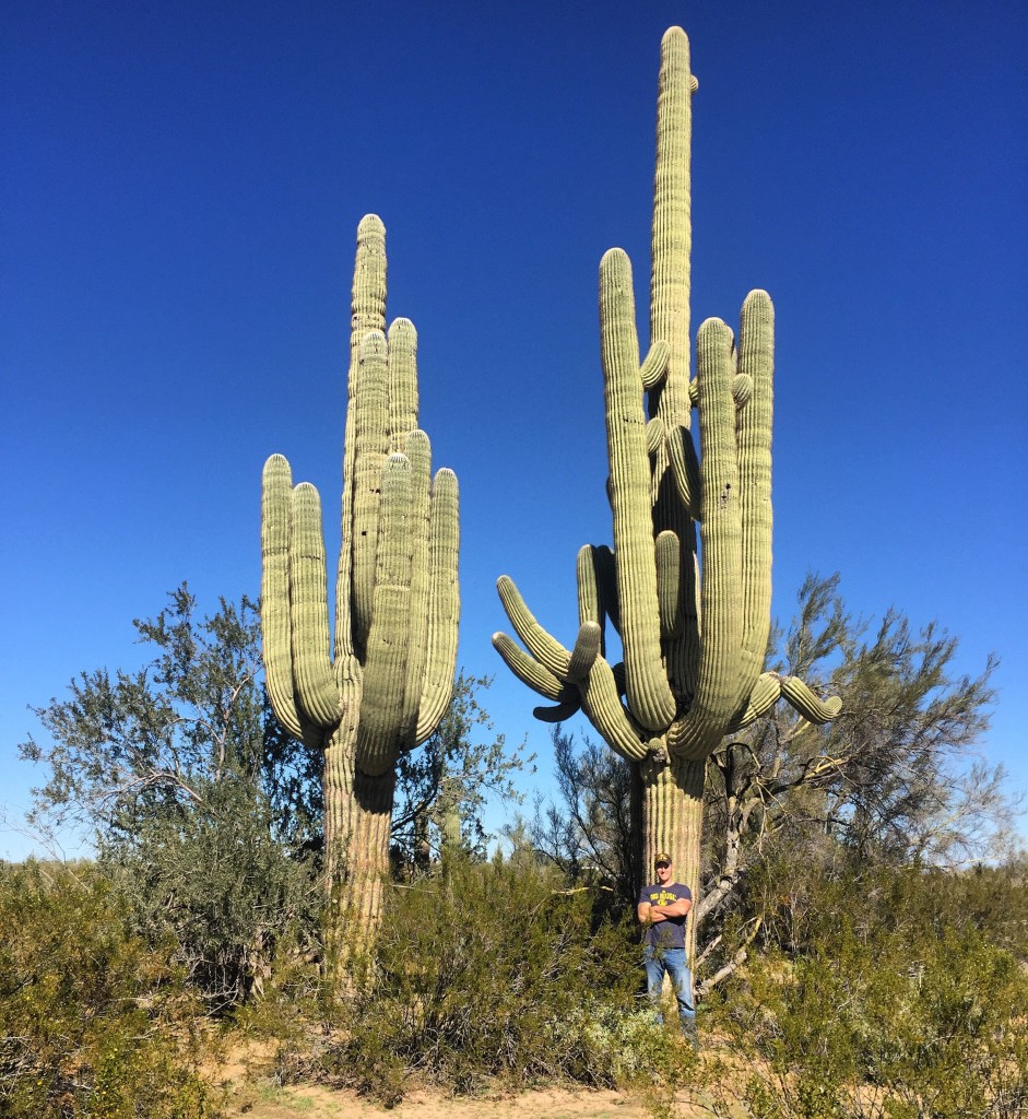 We were a little worried to leave giant trees and forests, turns out we just traded them for giant cacti. Matt's always useful for showing scale, since he's 6'6", this is obviously a big Saguaro.
